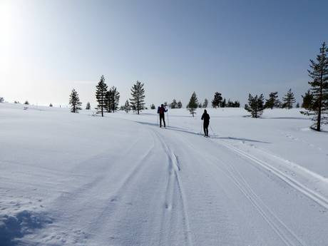 Langlaufen Scandinavië – Langlaufen Idre Himmelfjäll