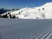 Ribbels in de sneeuw