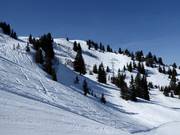 Diep-sneeuwafdalingen vanaf Hühnerspiel