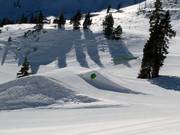 Treeline Terrain Park