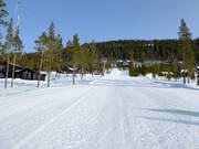 Piste Backrået Nr. 7