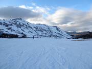 Oefenweide bij de Early Starter Double Chair in Blue Cow