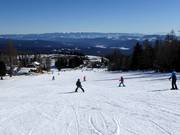 Makkelijke pistes bij de Zirbenlift 2