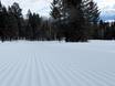 Pistepreparatie Wyoming – Pistepreparatie Jackson Hole