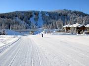 Gemakkelijke piste Mt. Morrisey Connector