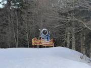 Sneeuwkanonnen bij de Donauwellenabfahrt