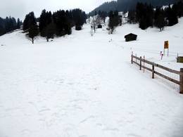 Skigebied Saxeten – Pintli