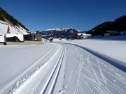 Loipe in Weißenbach