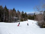 Gemakkelijke piste Green Cheese