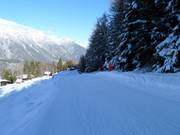 Rifenal-afdaling nr. 1