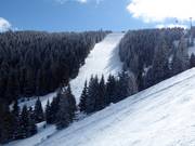 Moeilijke piste nr. 19c Gvozdac