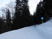 Piste-markering in het skigebied Jahorina