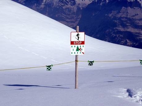 Lauterbrunnental: milieuvriendelijkheid van de skigebieden – Milieuvriendelijkheid Kleine Scheidegg/Männlichen – Grindelwald/Wengen