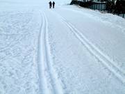 Langlaufloipe in Flachau