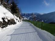 Piste Heimalm-Kreuzboden
