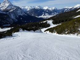 Ehrwalder Alm – Ehrwald