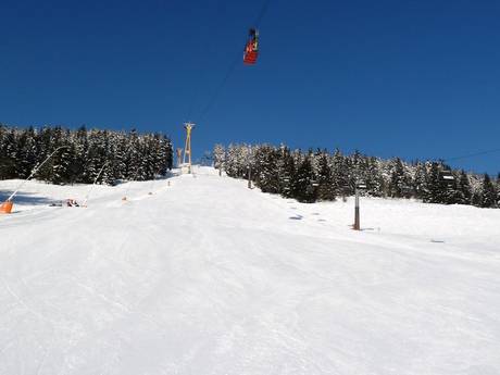Skigebieden voor gevorderden en off-piste skiërs Oost-Duitsland – Gevorderden, off-piste skiërs Fichtelberg – Oberwiesenthal