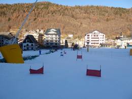 Aprica