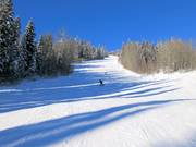 Middelzware afdaling Cruiser