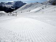 Perfect geprepareerde piste bij Col Rodella