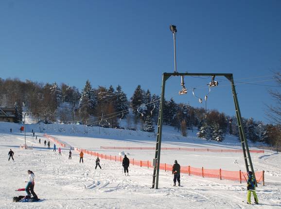 Mittlerer Wilddieblift