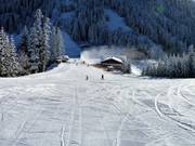 Ideaal beginnersgebied bij de oefenlift Kreisten