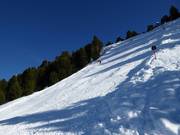 Zirben-afdaling met 80% helling