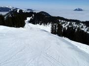 Gemakkelijke Weiherkopfabfahrt