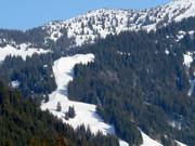 Uitzicht op de Kreuzle-afdaling bij de Riedberger Horn