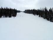 Brede afdaling Snow Rodeo