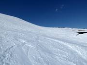 Off-piste Svarta Björn