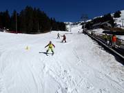 Oefenweide met transportband