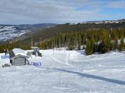 Backyardheisen (N) - Pannenkoeklift