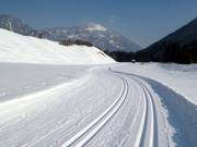 Langlaufloipe in Waidring