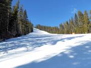 Middelzware piste Crazy Canuck