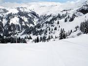 Zelfs rond het middaguur vind je nog zulke pistes.