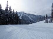 Gemakkelijke piste in het skigebied Whitewater