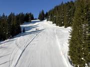 Gemakkelijke piste Rietboden bij de stoeltjeslift Schabell