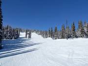 Gemakkelijke piste Over the Hill