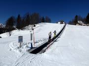 Childrens Park Vogel - Transportband/Moving Carpet