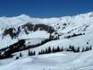 Meilenweiss: Grootte van de skigebieden – Grootte Damüls Mellau