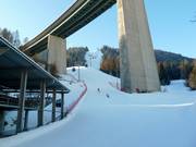 Dalafdaling/familieafdaling