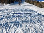 Diep sneeuw helling onder de Alp Pradame