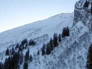 Uitzicht op het freeridegebied Laub