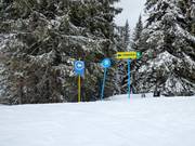 Pistebewegwijzering in het skigebied Jahorina