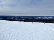 Piste Aurinkokurun Haipakka (Nr. 43)