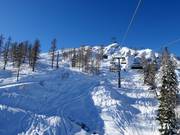 Diepsneeuwsporen onder de Madritschenbahn