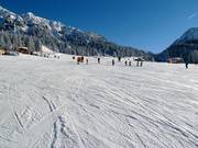 Brede en gemakkelijke piste op de Ehrwalder Alm