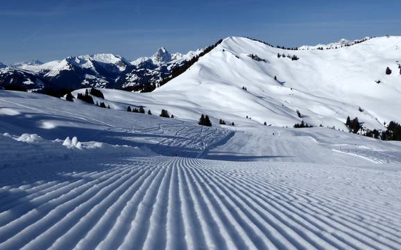 Pistepreparatie Gstaad – Pistepreparatie Rinderberg/Saanerslochgrat/Horneggli – Zweisimmen/Saanenmöser/Schönried/St. Stephan
