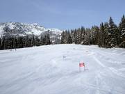 Gemakkelijke piste bij Drachenlift II